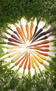 Different colour carrots.
