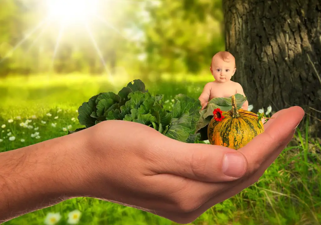 Baby in sitting in giant hand alongside various vegetables and fruits .