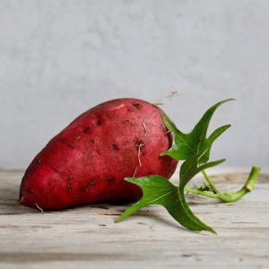 Red sweet potato with green leaves.Quick organic foods for babies. 