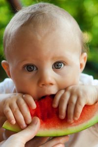 Baby being fed watermelon;baby led weaning.