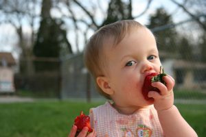 Baby self-feeding grapes.