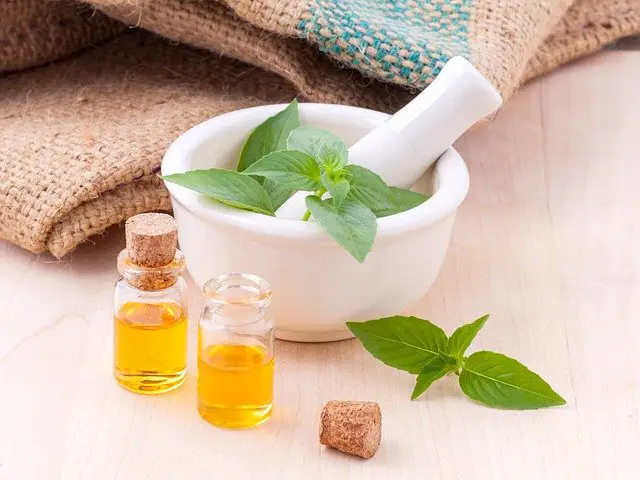 Castor oil for baby constipation in a bowl; neatly garnished with fresh mint leaves.