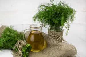 Olive oil And dill on the table.