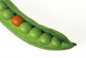 Peas in a pod;baby food recall 2021 list.