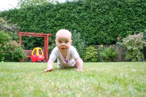 Baby crawling;When does baby hair grow back after falling out .