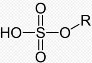 Sulfates in What is paraben in shampoo?