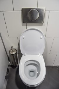 Toilet in postpartum poop