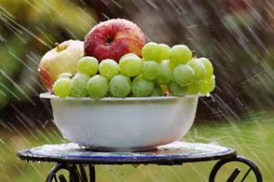 Fresh apples and grapes out in the rain in a bowl.